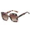 C5-Pink Leopard-Gradient Brown