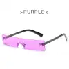 Black Frame-Purple Lens