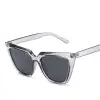C3 Transparent Grey