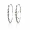 FE885#-Silver