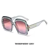 Transparent Gray Frame Powder