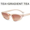 Transparent Tea Box Double Tea