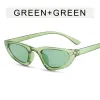 Transparent Green Frame Green