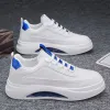White Blue
