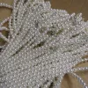 Silver Buckle 120cm