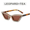 Leopard Frame