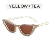 Transparent Tea Frame Tea Slices