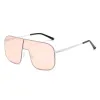 Silver Frame Pink