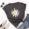 Meteor Grey