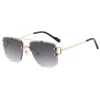 C1 Gold Frame Grey Sheet
