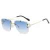 C3 Gold Frame Orchid