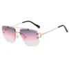 C5 Gold Frame Gray Red