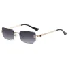 C1 Gold Frame Double Gray