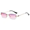 C2 Gold Frame Purple White