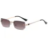 C4 Gold Frame Double Tea