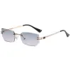 C5 Gold Frame Green Pink
