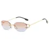 C4 Golden Frame Tea Orchid