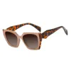 C6 Khaki/ Leopard/ Gradient Gray