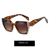 C2 Leopard/ Pink / Gradient Gray