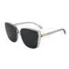 Transparent Gray Frame Black Sheet