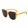 Transparent Orange Frame Gray Sheet