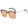 C3 Tea Spot Frame Champagne Slices