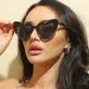 Upper Black And Lower Gray Bean Flower