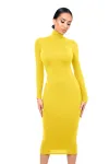2589 Yellow