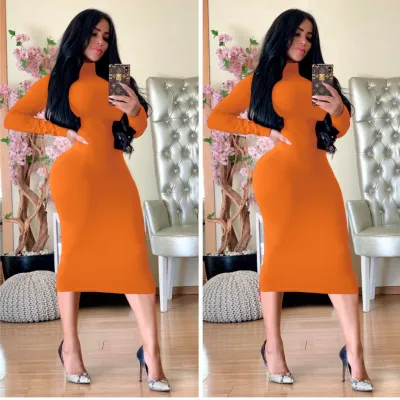 Women Elegant Orange Basic Solid Color Long Sleeves Bodycon Turtle Neck Dress