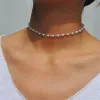 Protein-Silver